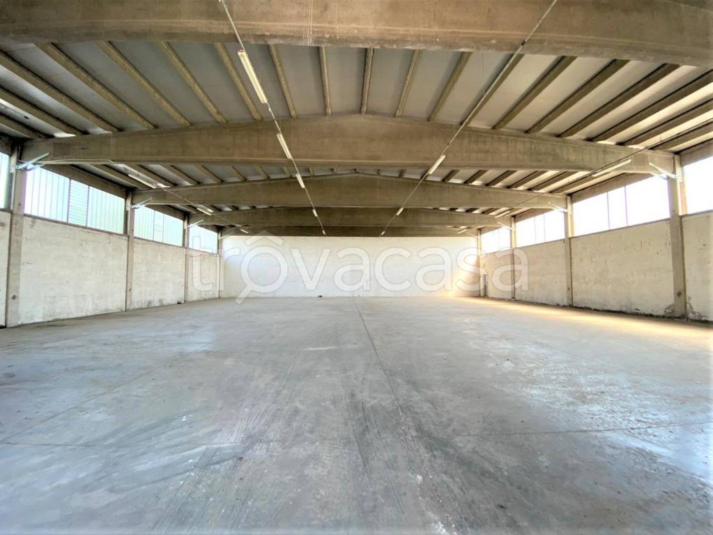 immagine annuncio 6 di 7