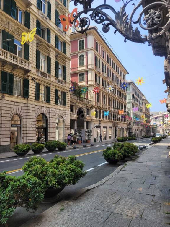 immagine annuncio 12 di 13