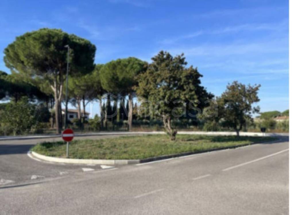 immagine annuncio 12 di 14