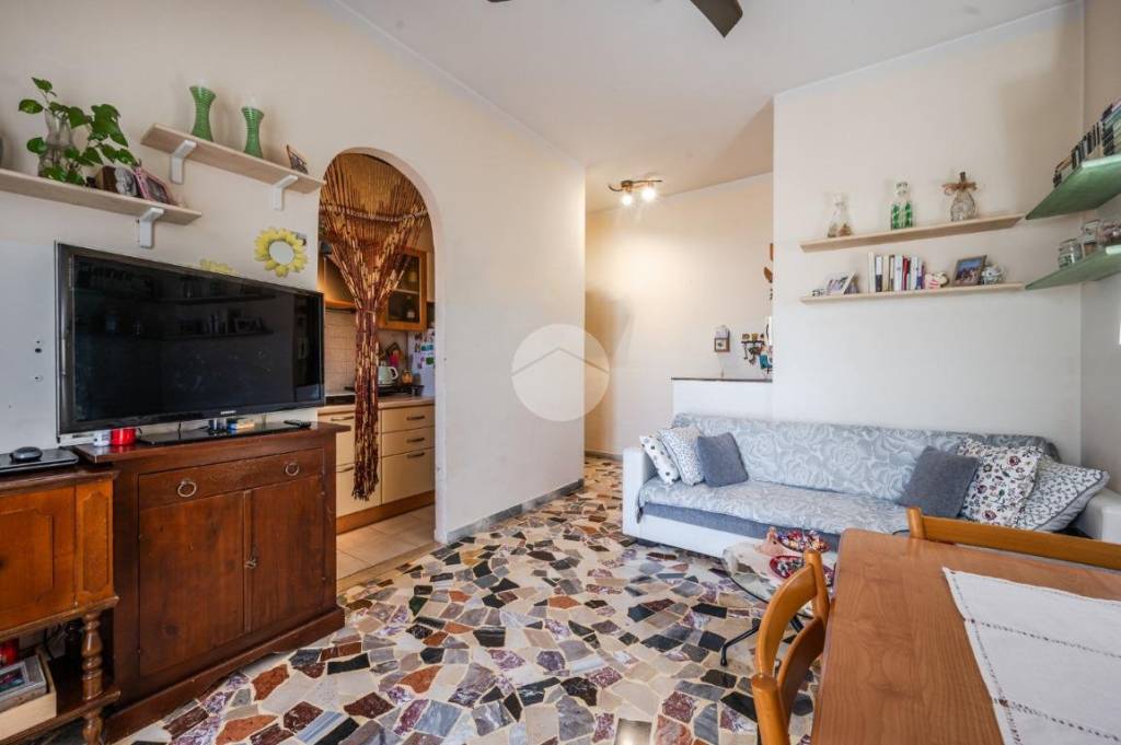 immagine annuncio 3 di 11