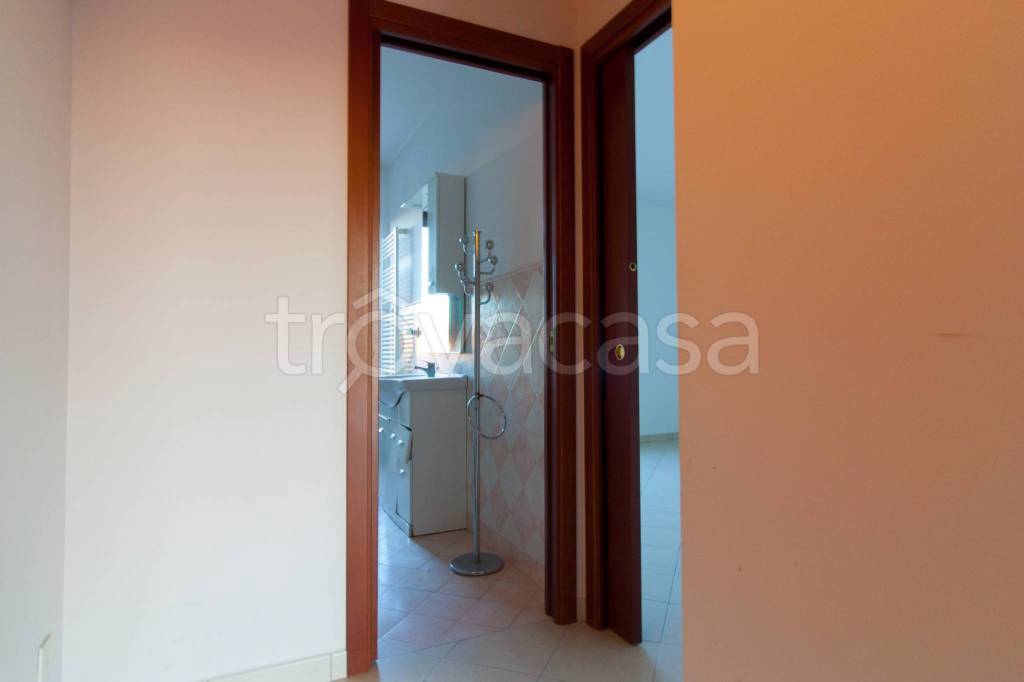 immagine annuncio 5 di 12