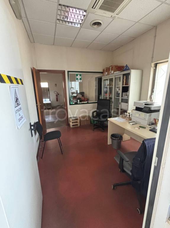 immagine annuncio 3 di 11