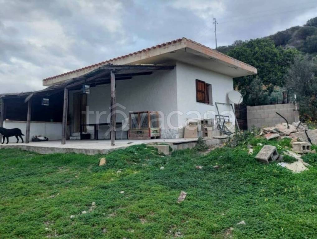 immagine annuncio 6 di 14