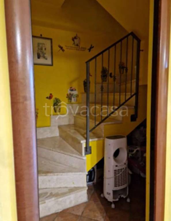 immagine annuncio 7 di 11