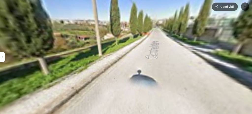 immagine annuncio 9 di 13
