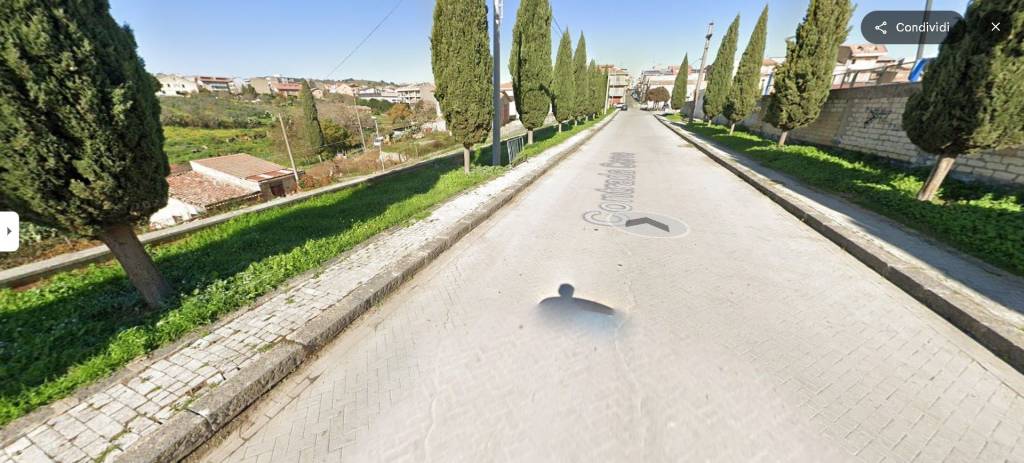immagine annuncio 10 di 13