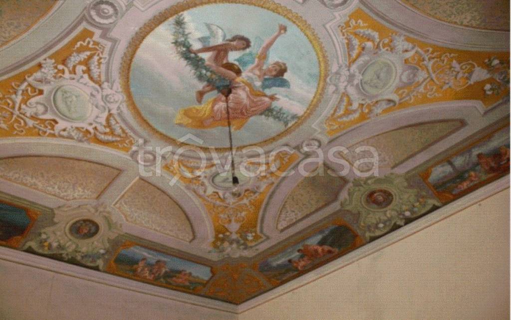 immagine annuncio 5 di 12