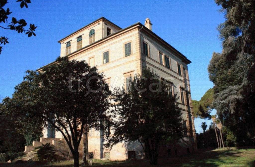 immagine annuncio 9 di 12