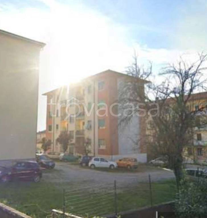 immagine annuncio 7 di 14