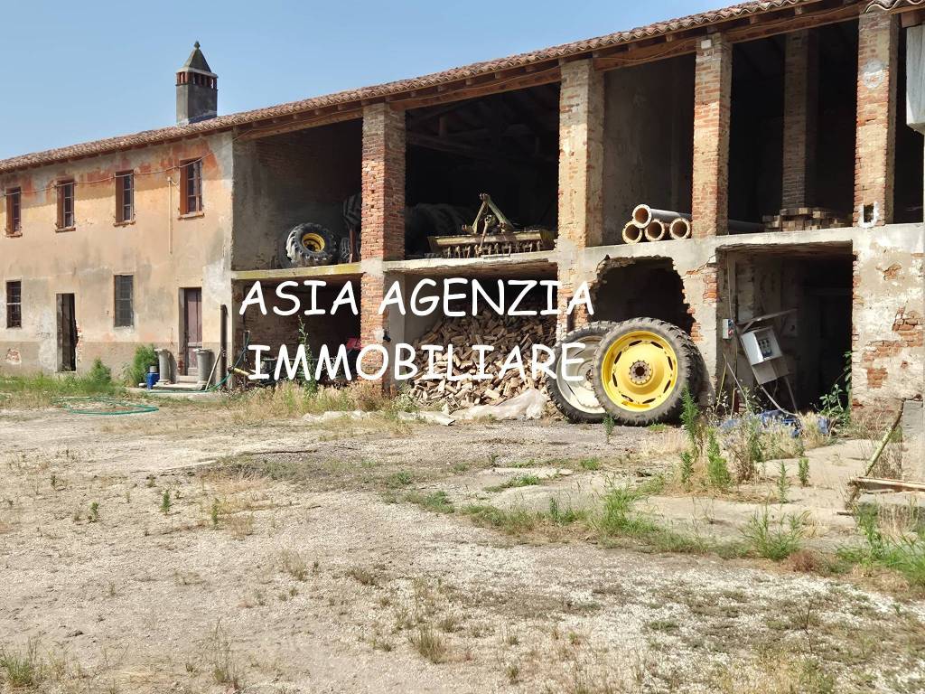 immagine annuncio 4 di 6