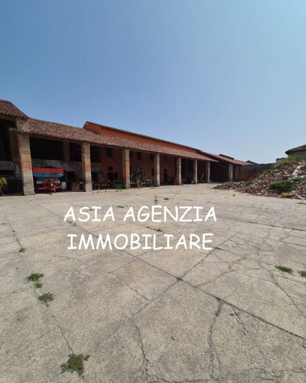 immagine annuncio 5 di 6