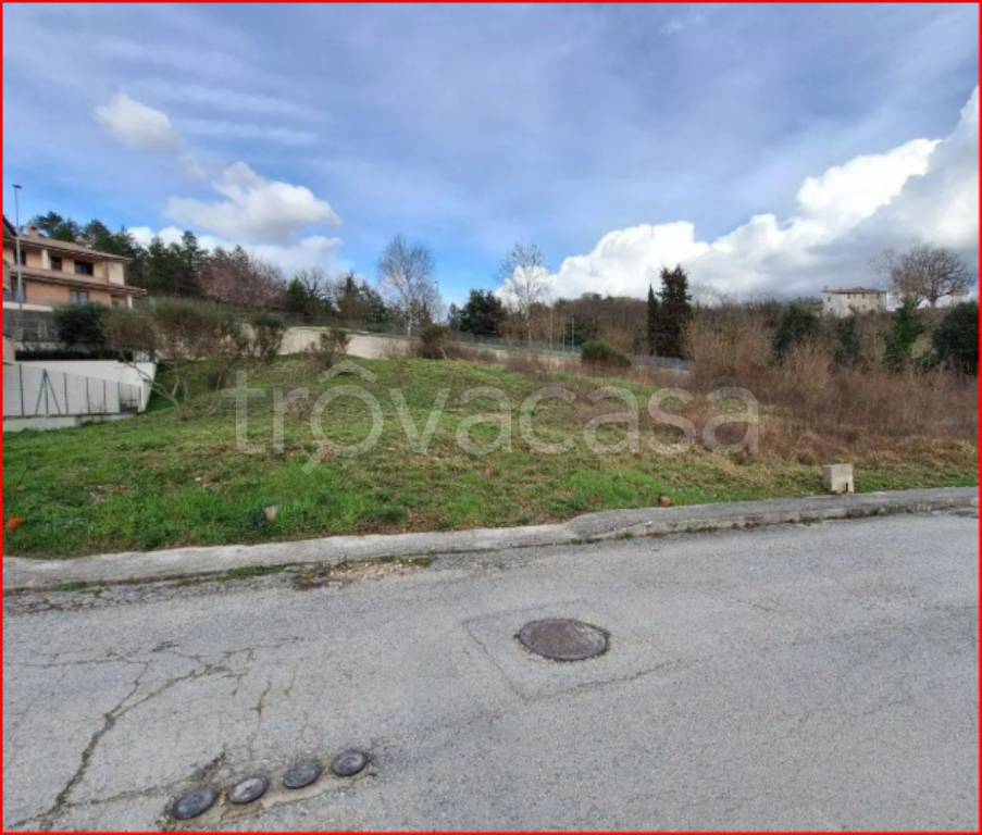 immagine annuncio 6 di 13
