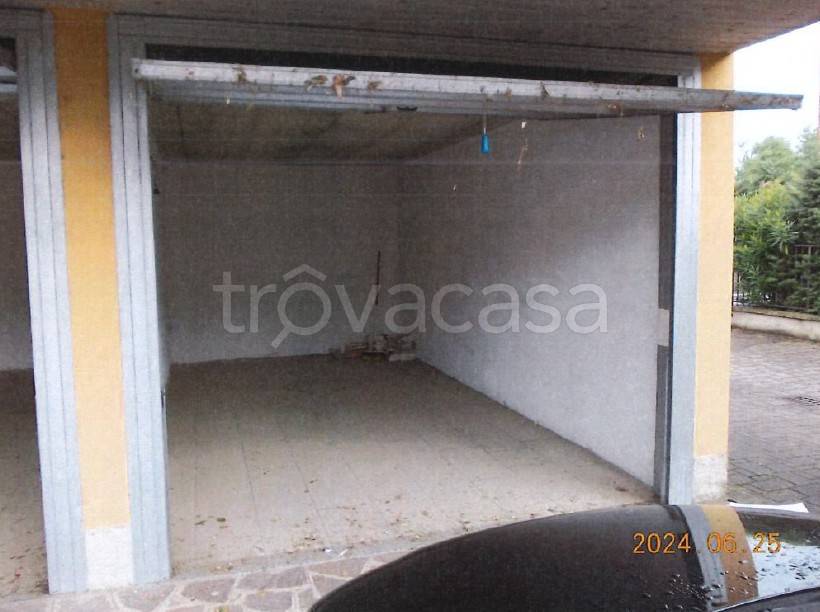 immagine annuncio 12 di 14