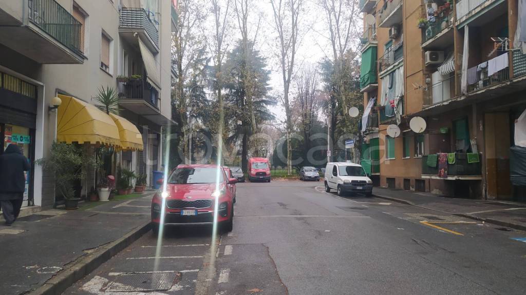 immagine annuncio 5 di 14