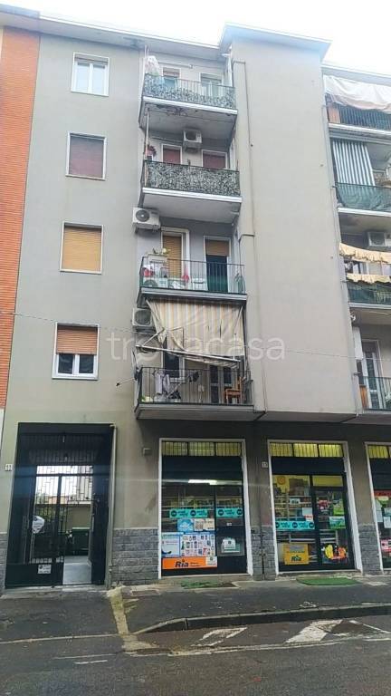immagine annuncio 2 di 14