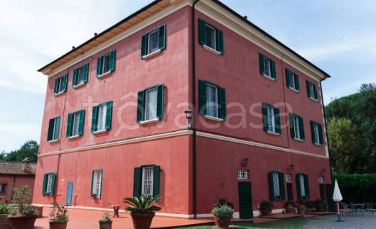 immagine annuncio 3 di 11