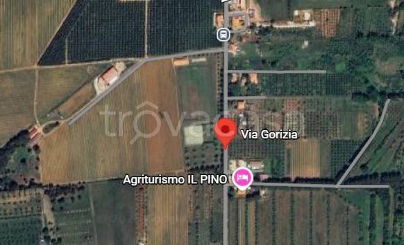 immagine annuncio 8 di 11
