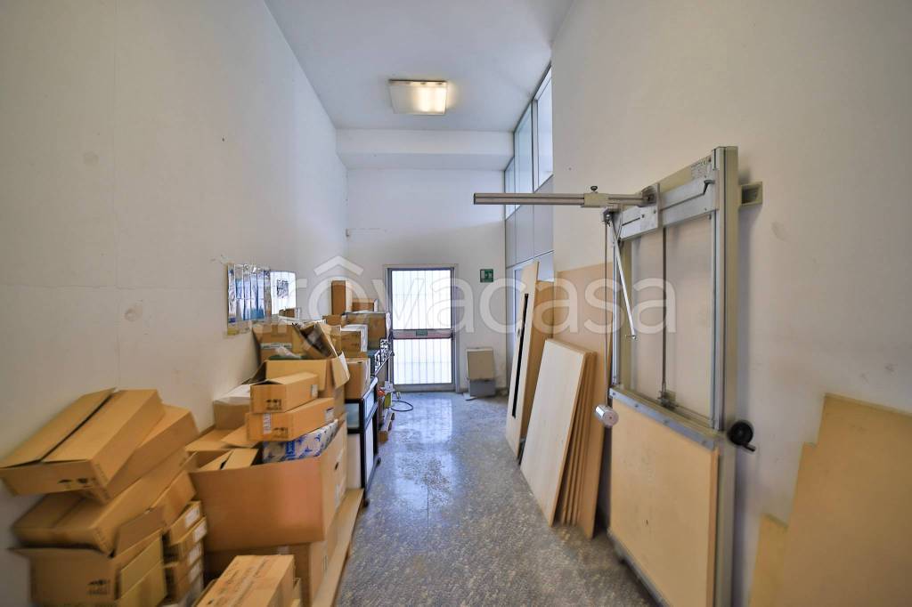 immagine annuncio 12 di 14