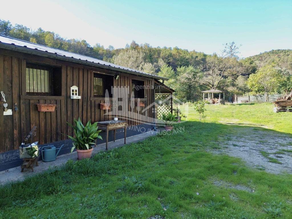 immagine annuncio 3 di 14