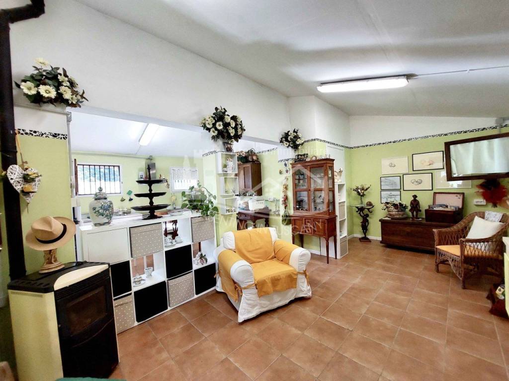 immagine annuncio 4 di 14