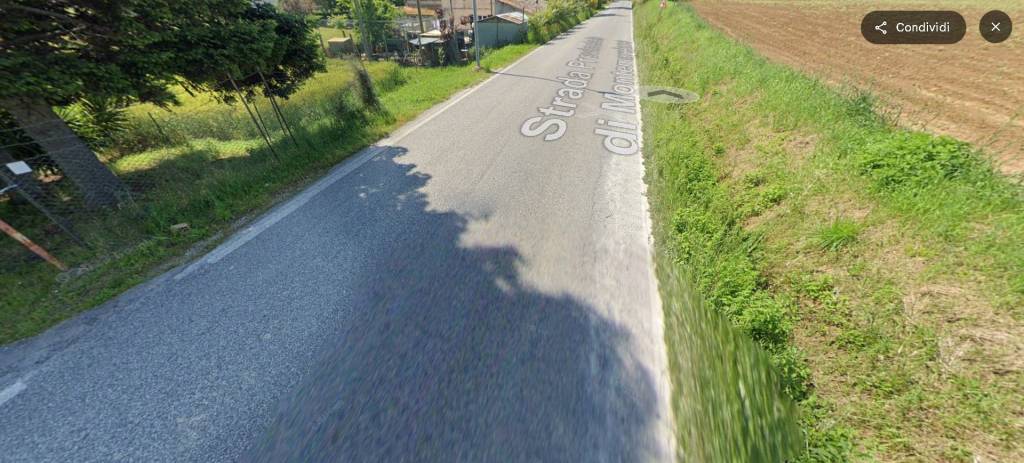 immagine annuncio 9 di 13
