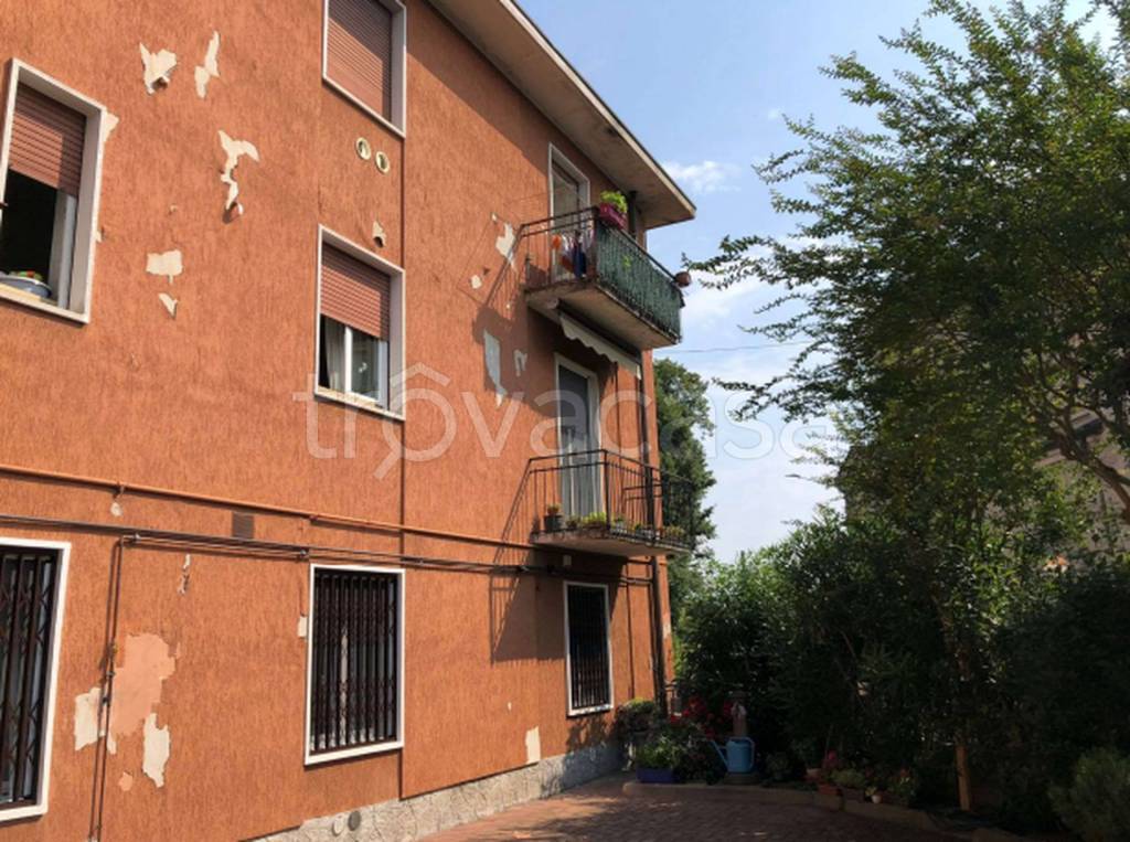 immagine annuncio 6 di 14