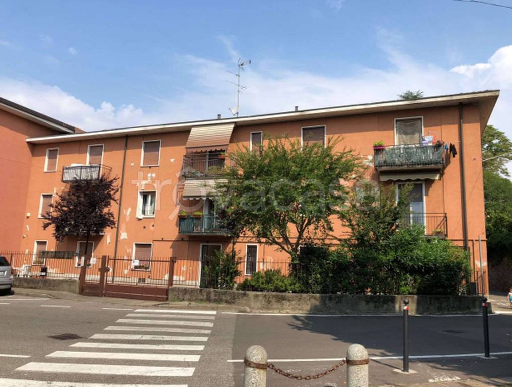 immagine annuncio 7 di 14