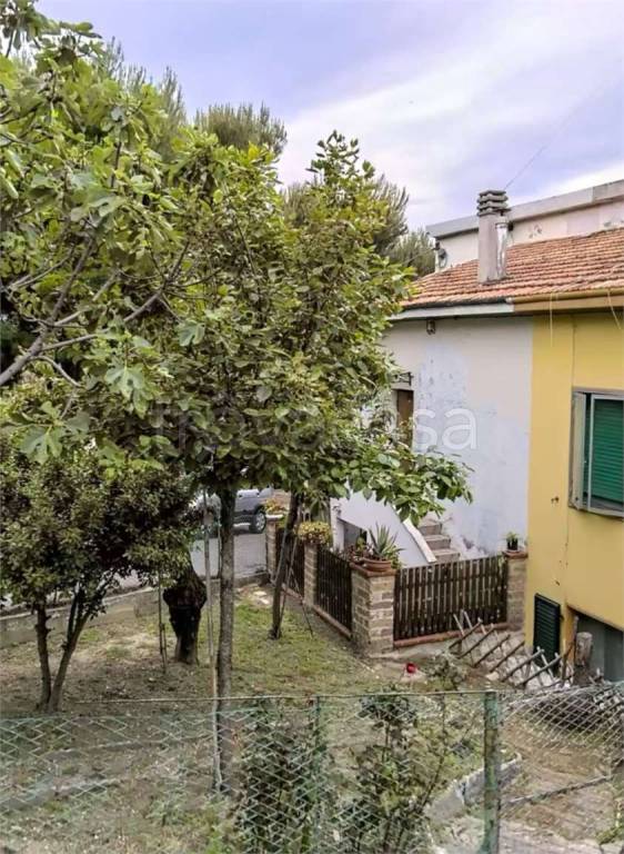 immagine annuncio 2 di 3