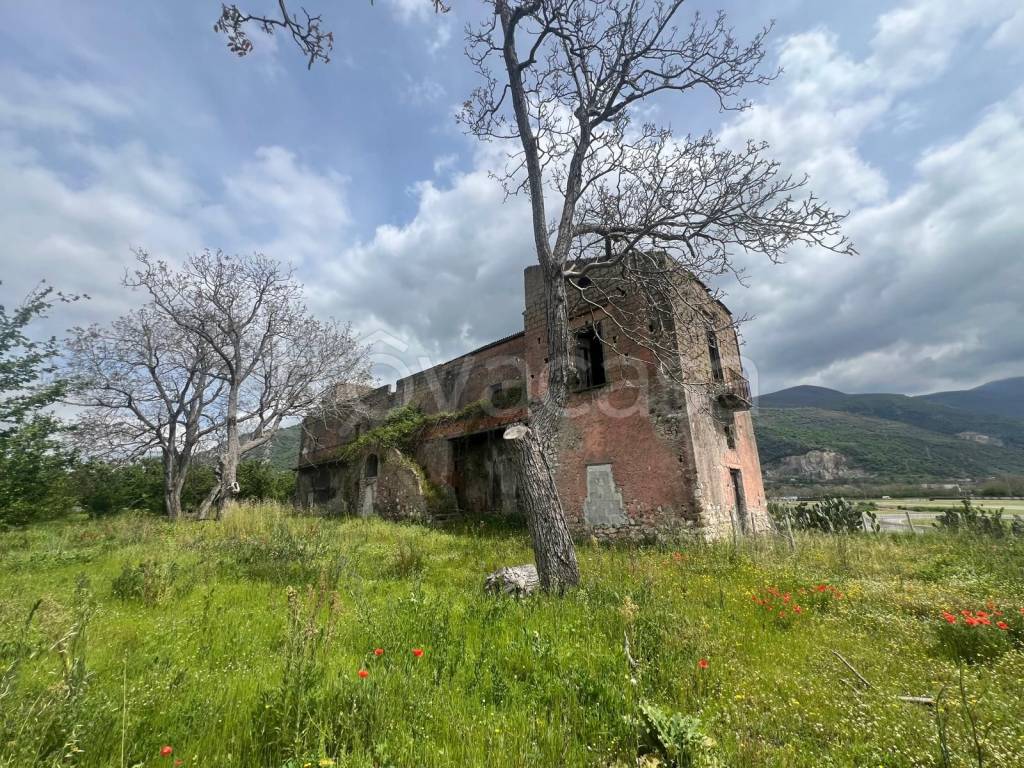 immagine annuncio 11 di 14