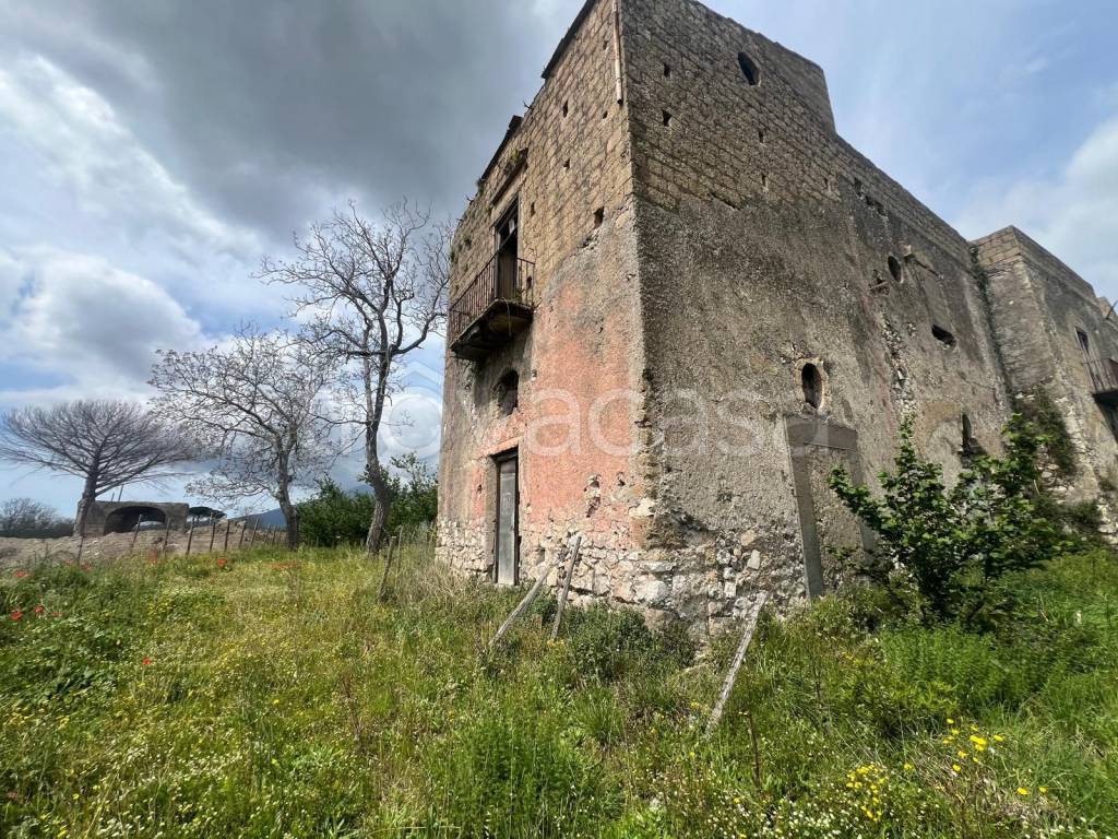 immagine annuncio 12 di 14
