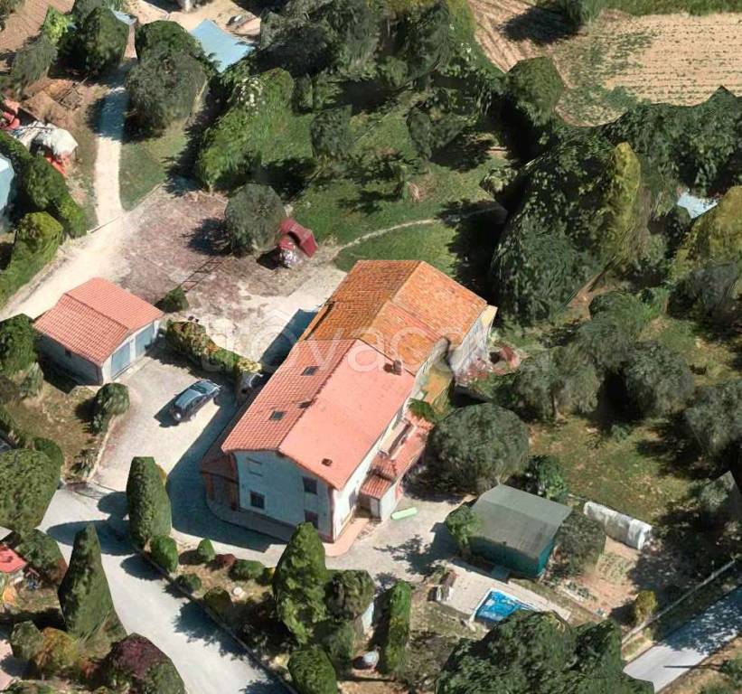 immagine annuncio 1 di 2
