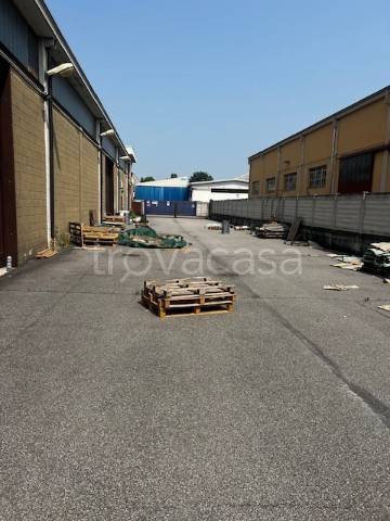 immagine annuncio 3 di 8