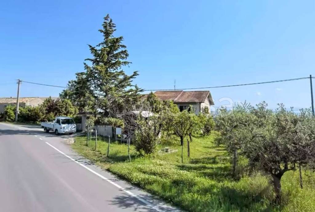 immagine annuncio 2 di 4