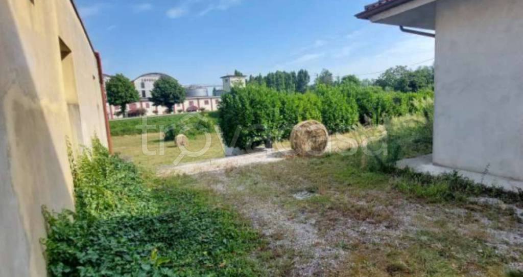 immagine annuncio 6 di 8
