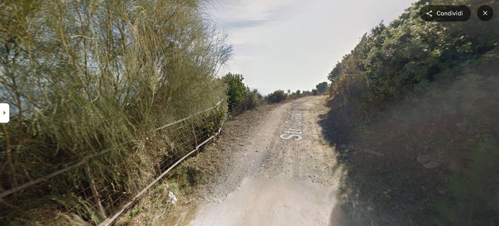 immagine annuncio 4 di 13
