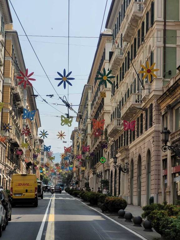 immagine annuncio 4 di 13