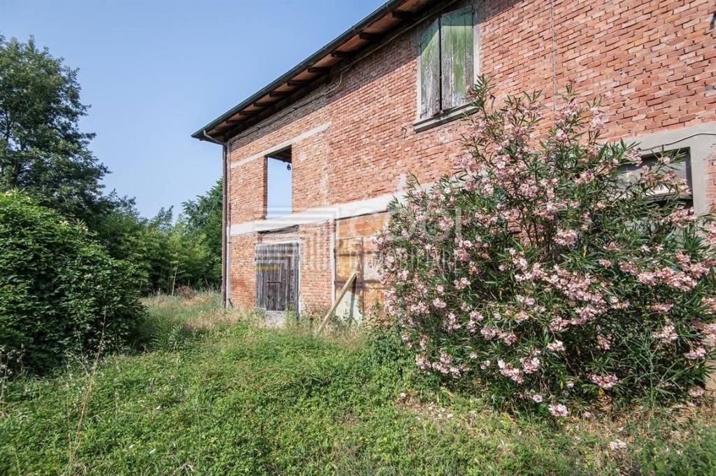 immagine annuncio 6 di 13