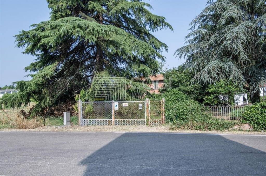 immagine annuncio 10 di 13