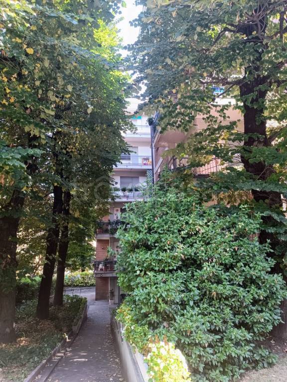 immagine annuncio 3 di 8