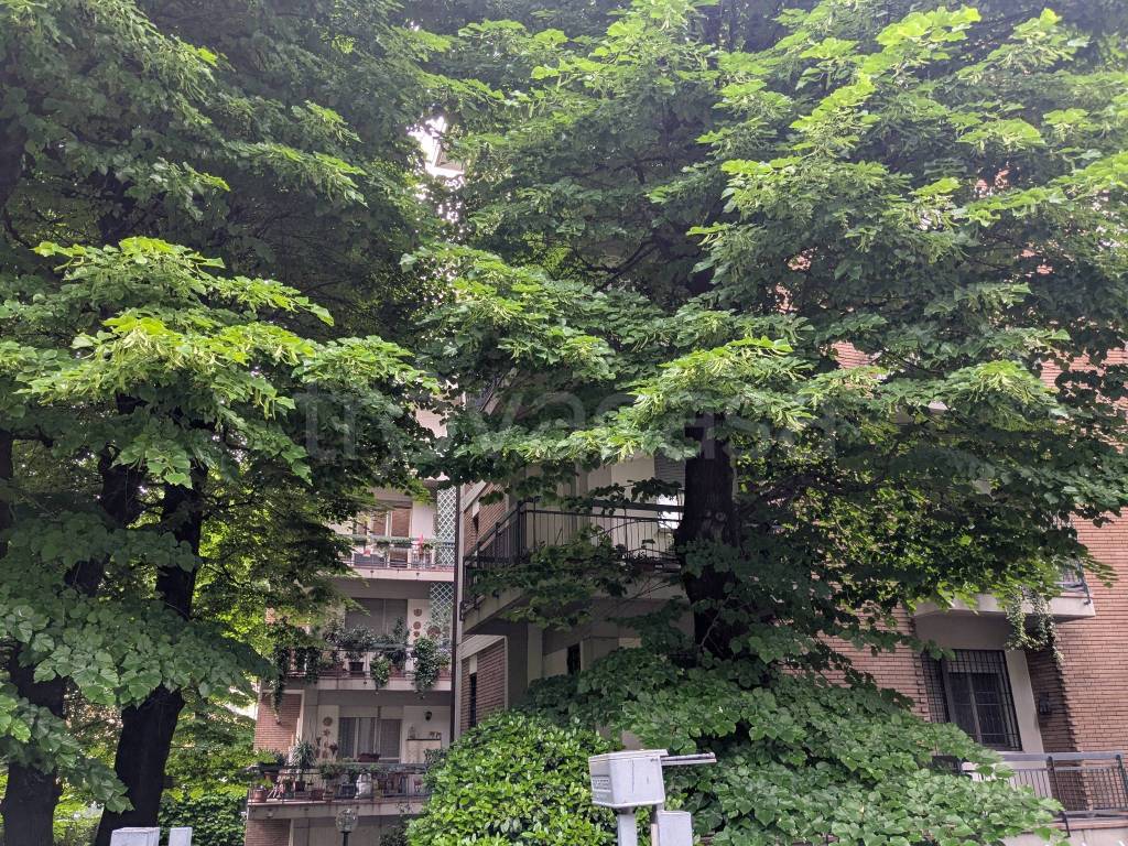 immagine annuncio 1 di 8