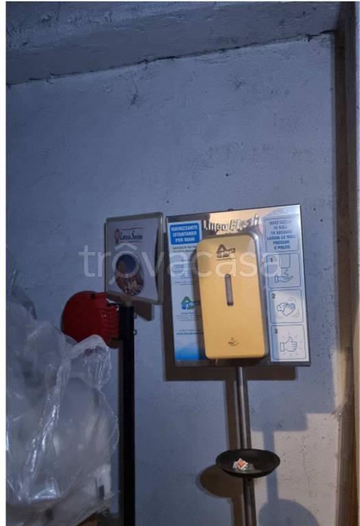 immagine annuncio 10 di 12