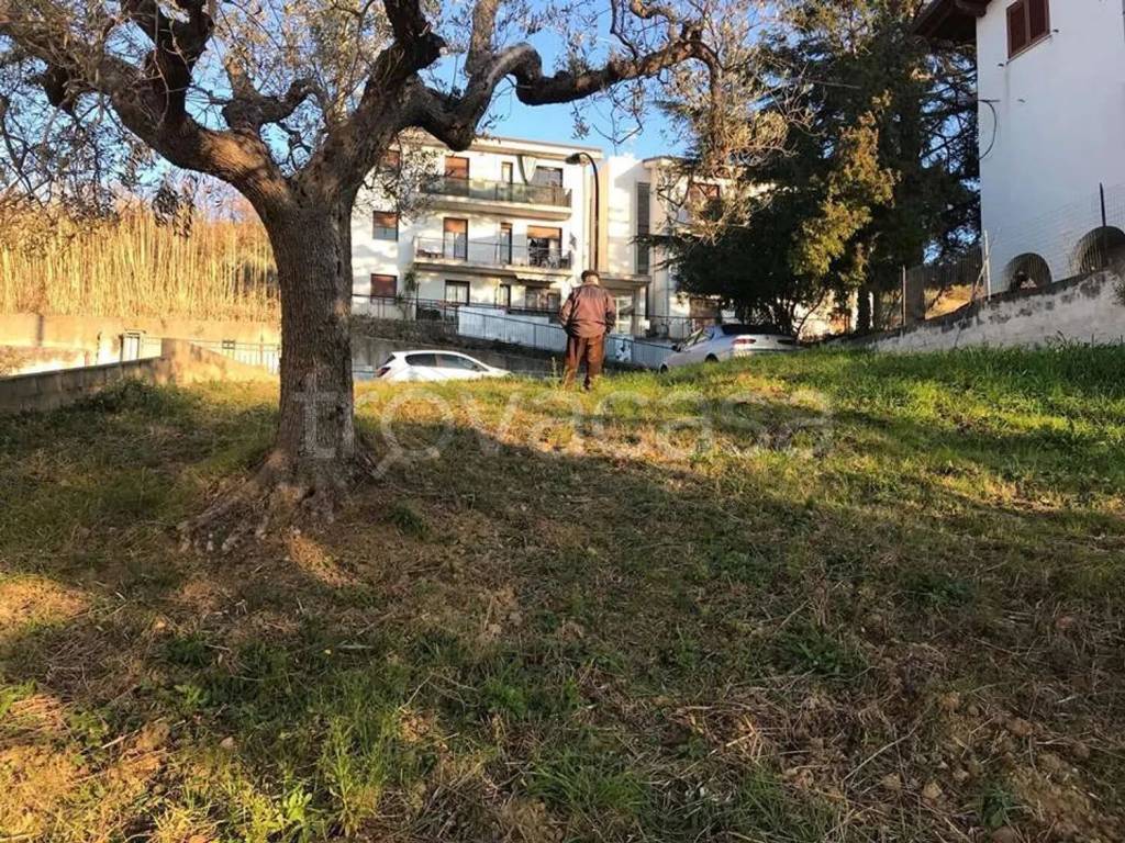 immagine annuncio 3 di 13