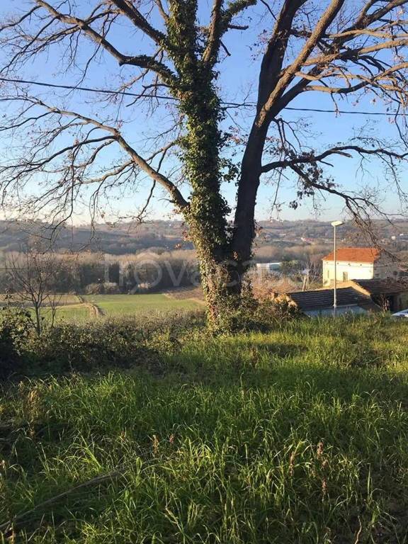 immagine annuncio 6 di 13