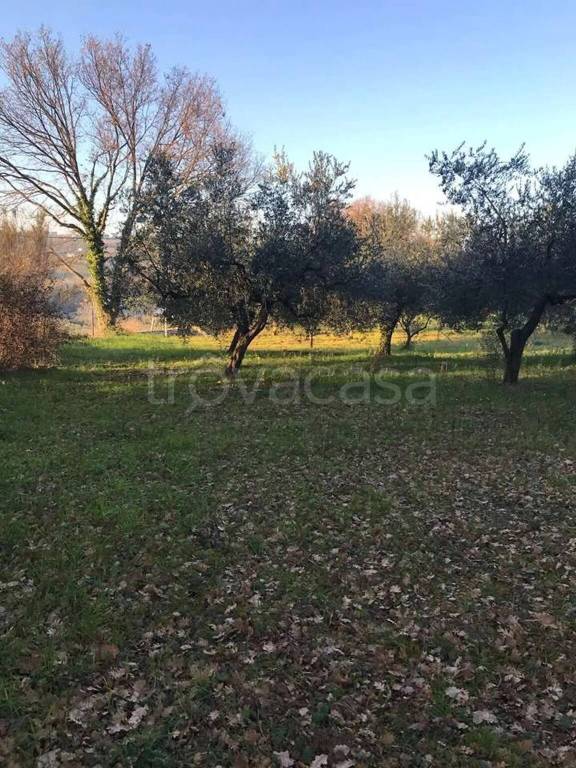 immagine annuncio 12 di 13