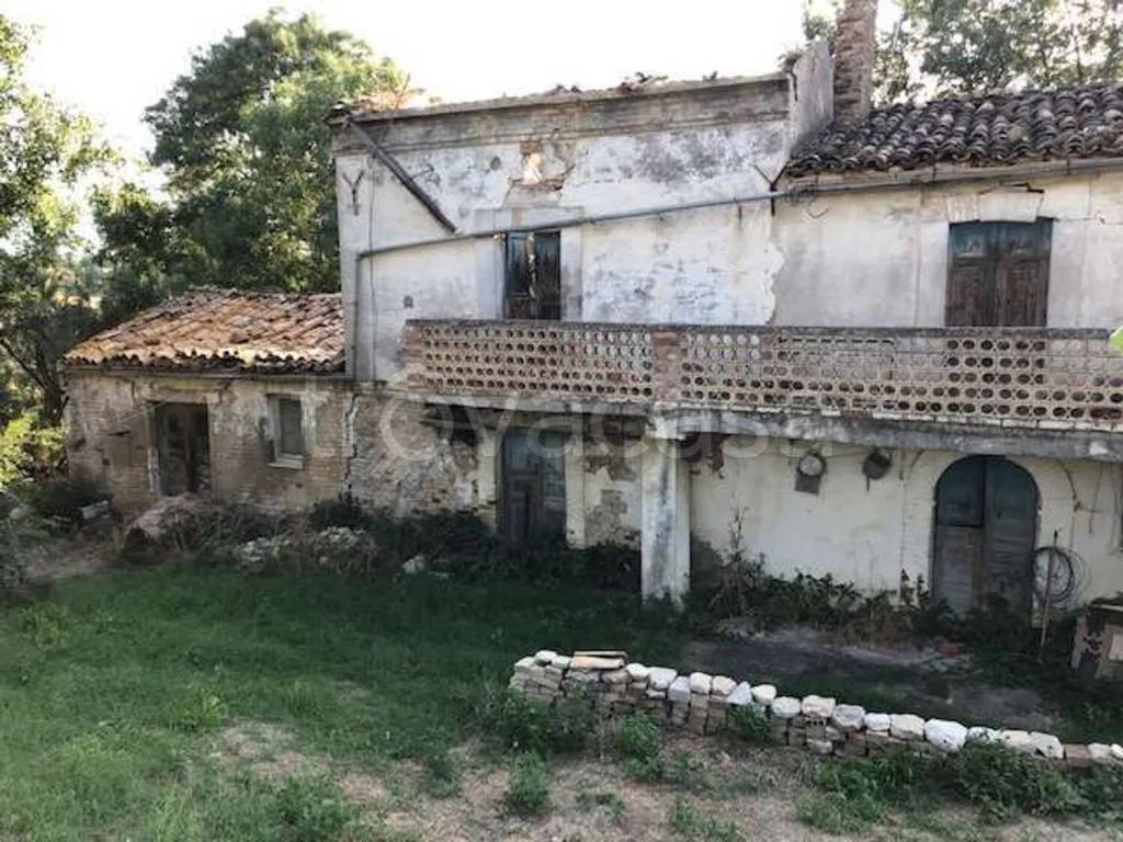 immagine annuncio 7 di 11