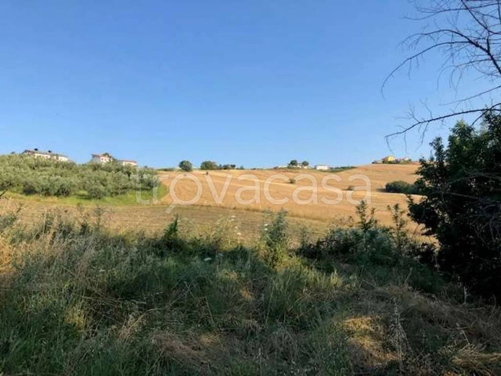 immagine annuncio 10 di 11
