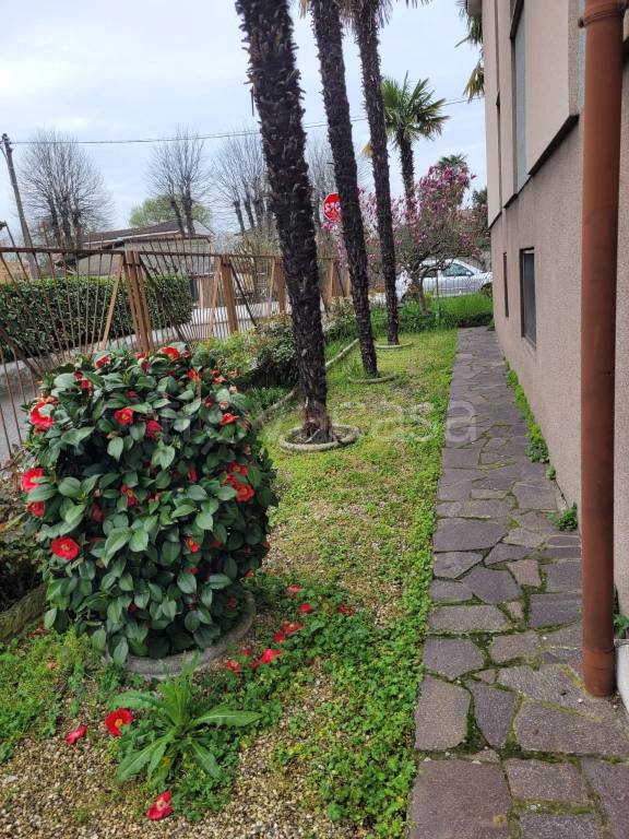 immagine annuncio 3 di 14