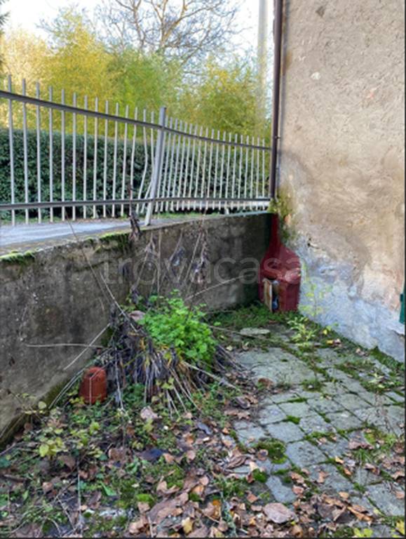 immagine annuncio 2 di 12