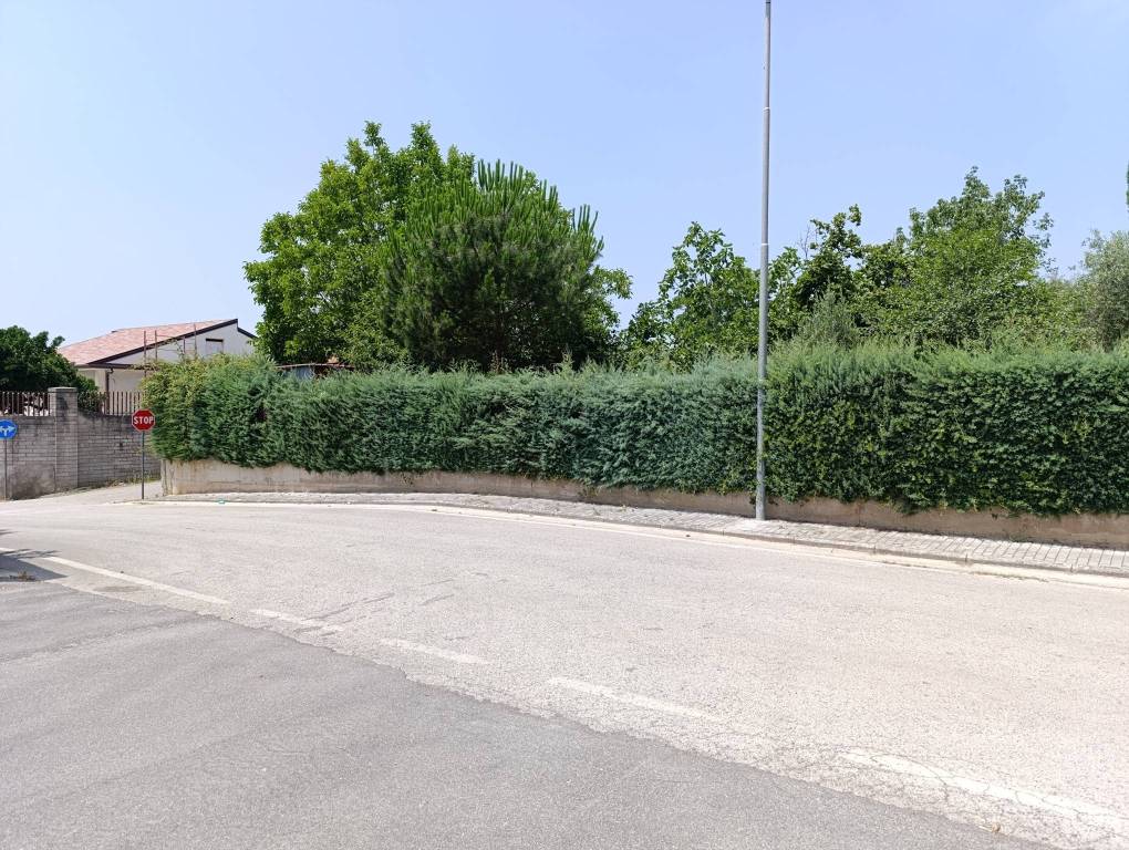 immagine annuncio 2 di 7