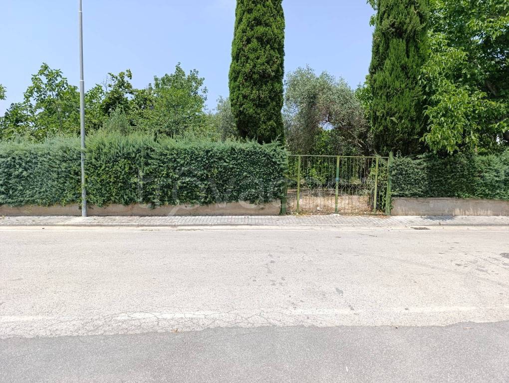immagine annuncio 3 di 7